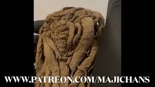MasterRoots -(HoodooRoots)Master of all things