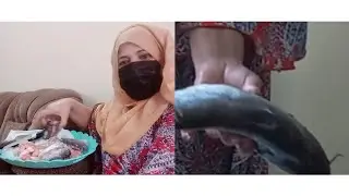 How to Make Mali Fish at Home by Gull Baji .