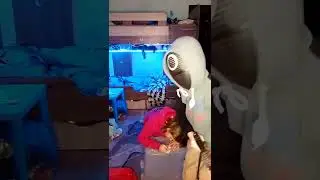 игра в кальмара