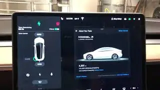 How to Name Your Tesla Model 3