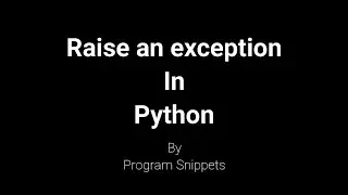Raise an Exception in Python