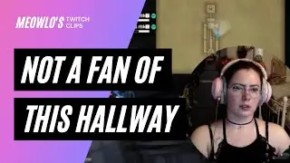 Dalriada's Hallway Takes Years Off My Life / FFXIV / Meowlo's Twitch Clips