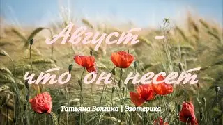 Август - что он несет #таро #таролог #предсказания