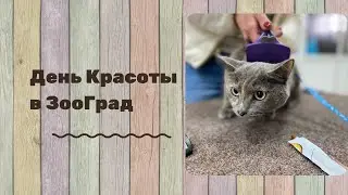День красоты в Зооград