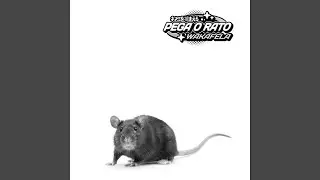 Pega o Rato