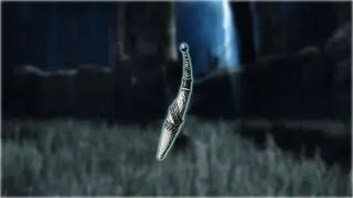 How To Ivory Straight Sword | Dark Souls 2 SotFS