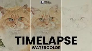 Timelapse Acquerello - come realizzare ad acquerello un meraviglioso gatto rosso immerso tra la neve