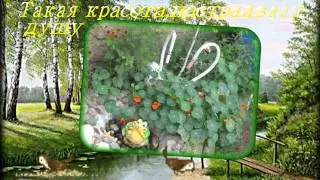Лучшие усадьбы села