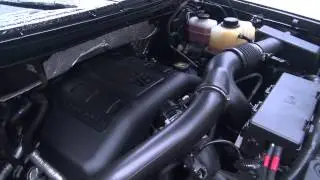 Jan 1st 2015 - 2011 F-150 Ecoboost Timing Chain Cold Start Rattle Noise
