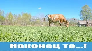 Насыщенные деньки деревенского хозяйства! Жизнь в деревне, весенняя суматоха!