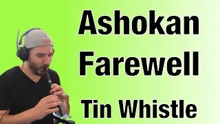 Ashokan Farewell - Tin Whistle Cover (Key of D) | #irish #tinwhistle #traditional #emotional
