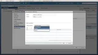 VMware vSphere 5.5 Traffic Filtering