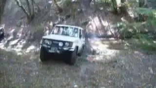 Toyota & nissan