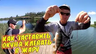 Fishing for perch in the summer in the heat. Forced to peck passive summer perch