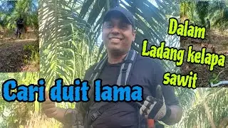 trip santai cari Duit Lama dalam Ladang kelapa sawit mengunakan Metal Detector Minelab Manticore