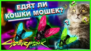 ЕДЯТ ЛИ КОШКИ МОШЕК? ЕДЯТ ЛИ МОШКИ КОШЕК? Cyberpunk 2077
