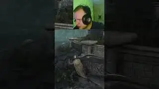 кувырок в ад   #Twitch