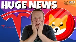 TESLA || SHIBA INU || BITCOIN HUGE NEWS - HOW BIG IS THIS FOR CRYPTO !