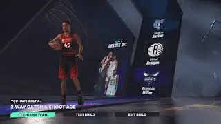 NBA 2K25 2-Way Catch & Shoot Ace Build 🔥[Rare Build]