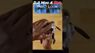 First Look at the DJI Mini 4 Pro 