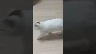 #подпишись