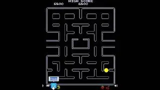 error en el nivel 256 de pac man