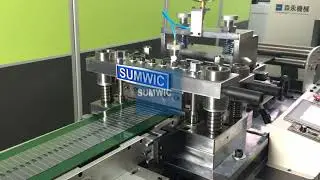 Automatic Cut To Length Line with Hole SC 200