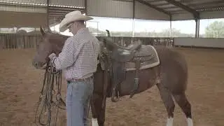 Boyd Rice: Don't Fatigue Your Horse