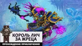 Король Лич. Жрец. Прохождение Цитадели Ледяной Короны базовыми колодами!