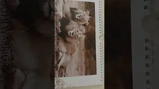 🇿🇦 ❤️ 🇿🇦
