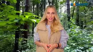 Грибы в Волжском