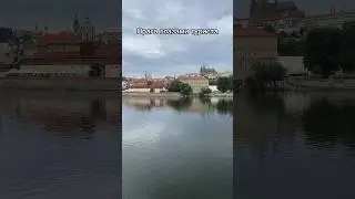 #прага #видеосъемкапрага #чехия #путешествие