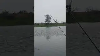 самый не приятный момент в рыбалке