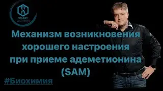 Механизм возникновения хорошего настроения при приеме адеметионина (SAM).