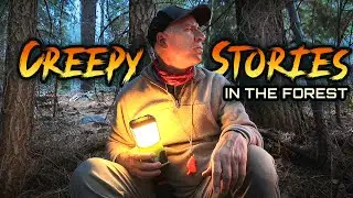 Campers have Frightening Encounter in Sierra National Forest! ( 4 Stories )