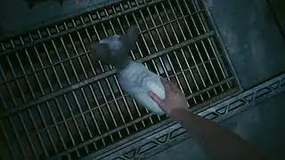 you can pet cat in Cyberpunk 2077... 5 stars