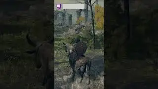 Выдайте мне права #eldenring #short #shorts #twich