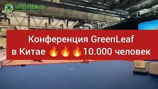 🔥Это будущее GreenLeaf в России и СНГ , конференция в Китае , лидер Александр Марков Зелёный лист 🔥