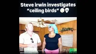 Steve Irwin investigates ceiling birds 2025