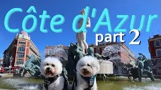 Côte d'Azur : Bichon road trip part 2