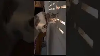 Как меня ждут с рыбалки 