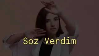 Nahide Babashli - Soz Verdim (lyrics video)