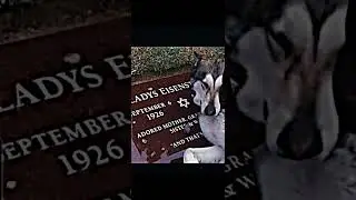 dog crying at owners grave 😢 😭 #subscribe#capcut#edit