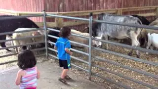 white post farm