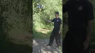 La muñeca en la espada china