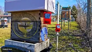 Winterizing Bee Hvies, Apiary Hive Survival Walk Through, March 4th All Hives, some are dead.