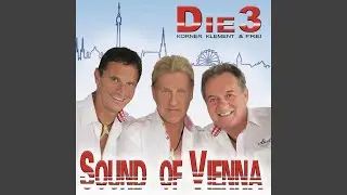 Vienna Vienna (Sound of Vienna) - deutsche Coverversion Deutsche Coverversion