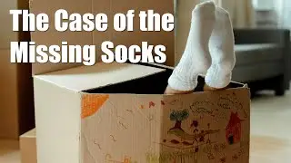 The Case of the Missing Socks @zooel #shortvideos #youtubeshorts #funny