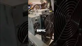 ZOOM PC @tylop_1