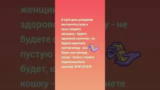 16 августа 2024 г.